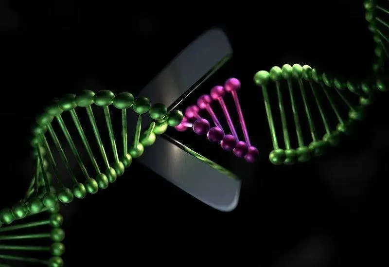 CRISPR Teknolojisi: Genetik Mucizeye Doğru